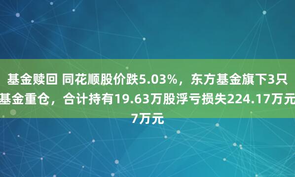 基金赎回 同花顺股价跌5.03%，东方基金旗下3只基金重仓，合计持有19.63万股浮亏损失224.17万元