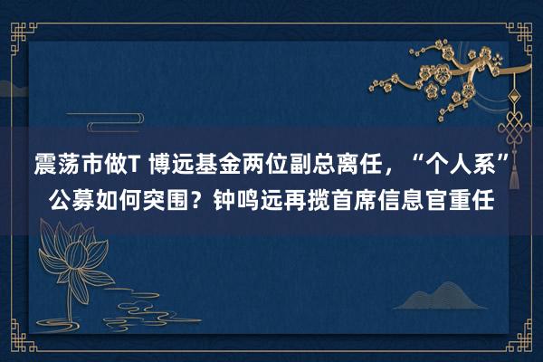 震荡市做T 博远基金两位副总离任，“个人系”公募如何突围？钟鸣远再揽首席信息官重任
