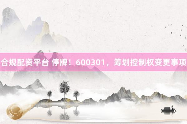 合规配资平台 停牌！600301，筹划控制权变更事项